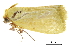  ( - BIOUG36917-C12)  @11 [ ] CreativeCommons - Attribution (2018) CBG Photography Group Centre for Biodiversity Genomics
