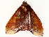  ( - BIOUG36920-B02)  @11 [ ] CreativeCommons - Attribution (2022) CBG Photography Group Centre for Biodiversity Genomics