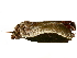  ( - BIOUG36920-B03)  @11 [ ] CreativeCommons - Attribution (2022) CBG Photography Group Centre for Biodiversity Genomics