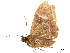  ( - BIOUG39661-A05)  @12 [ ] CreativeCommons - Attribution (2019) CBG Photography Group Centre for Biodiversity Genomics