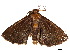  ( - BIOUG39661-B09)  @11 [ ] CreativeCommons - Attribution (2019) CBG Photography Group Centre for Biodiversity Genomics