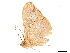  ( - BIOUG39661-F07)  @12 [ ] CreativeCommons - Attribution (2019) CBG Photography Group Centre for Biodiversity Genomics