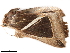  ( - BIOUG45370-A11)  @11 [ ] CreativeCommons - Attribution (2019) CBG Photography Group Centre for Biodiversity Genomics