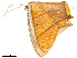  ( - BIOUG45370-B04)  @11 [ ] CreativeCommons - Attribution (2019) CBG Photography Group Centre for Biodiversity Genomics