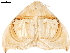  ( - BIOUG45370-D03)  @11 [ ] CreativeCommons - Attribution (2019) CBG Photography Group Centre for Biodiversity Genomics