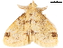  ( - BIOUG45370-D11)  @13 [ ] CreativeCommons - Attribution (2019) CBG Photography Group Centre for Biodiversity Genomics