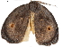  ( - BIOUG45370-H05)  @11 [ ] CreativeCommons - Attribution (2019) CBG Photography Group Centre for Biodiversity Genomics