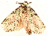  ( - BIOUG47759-A11)  @11 [ ] CreativeCommons - Attribution (2022) CBG Photography Group Centre for Biodiversity Genomics