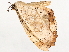  ( - BIOUG47759-C10)  @11 [ ] CreativeCommons - Attribution (2022) CBG Photography Group Centre for Biodiversity Genomics