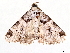  ( - BIOUG47759-E05)  @11 [ ] CreativeCommons - Attribution (2022) CBG Photography Group Centre for Biodiversity Genomics
