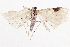  ( - BIOUG47759-F01)  @11 [ ] CreativeCommons - Attribution (2022) CBG Photography Group Centre for Biodiversity Genomics