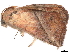  ( - BIOUG89970-B05)  @11 [ ] CreativeCommons - Attribution (2022) CBG Photography Group Centre for Biodiversity Genomics