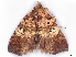  ( - BIOUG89970-G06)  @11 [ ] CreativeCommons - Attribution (2022) CBG Photography Group Centre for Biodiversity Genomics