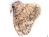  ( - BIOUG89971-H07)  @11 [ ] CreativeCommons - Attribution (2022) CBG Photography Group Centre for Biodiversity Genomics