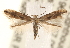  ( - BIOUG10886-G12)  @13 [ ] CreativeCommons - Attribution (2014) CBG Photography Group Centre for Biodiversity Genomics