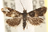  ( - BIOUG10886-H06)  @12 [ ] CreativeCommons - Attribution (2014) CBG Photography Group Centre for Biodiversity Genomics