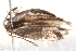  ( - CCDB-22971-A02)  @12 [ ] CreativeCommons - Attribution (2014) CBG Photography Group Centre for Biodiversity Genomics