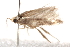  ( - CCDB-22971-A04)  @12 [ ] CreativeCommons - Attribution (2014) CBG Photography Group Centre for Biodiversity Genomics