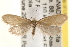  ( - CCDB-22971-B01)  @13 [ ] CreativeCommons - Attribution (2014) CBG Photography Group Centre for Biodiversity Genomics