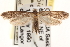  ( - CCDB-22971-C03)  @14 [ ] CreativeCommons - Attribution (2014) CBG Photography Group Centre for Biodiversity Genomics
