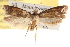  ( - CCDB-22971-C07)  @13 [ ] CreativeCommons - Attribution (2014) CBG Photography Group Centre for Biodiversity Genomics