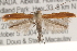 ( - CCDB-22971-D05)  @14 [ ] CreativeCommons - Attribution (2014) CBG Photography Group Centre for Biodiversity Genomics