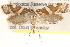  ( - CCDB-22971-E10)  @13 [ ] CreativeCommons - Attribution (2014) CBG Photography Group Centre for Biodiversity Genomics