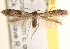  ( - CCDB-22972-A10)  @14 [ ] CreativeCommons - Attribution (2014) CBG Photography Group Centre for Biodiversity Genomics