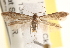  ( - CCDB-22972-A12)  @14 [ ] CreativeCommons - Attribution (2014) CBG Photography Group Centre for Biodiversity Genomics
