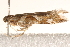  ( - CCDB-22972-B05)  @12 [ ] CreativeCommons - Attribution (2014) CBG Photography Group Centre for Biodiversity Genomics
