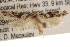  ( - CCDB-22972-C07)  @13 [ ] CreativeCommons - Attribution (2014) CBG Photography Group Centre for Biodiversity Genomics