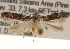  ( - CCDB-22972-C11)  @13 [ ] CreativeCommons - Attribution (2014) CBG Photography Group Centre for Biodiversity Genomics