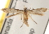  ( - CCDB-22972-C12)  @13 [ ] CreativeCommons - Attribution (2014) CBG Photography Group Centre for Biodiversity Genomics
