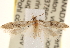  ( - CCDB-22972-D02)  @14 [ ] CreativeCommons - Attribution (2014) CBG Photography Group Centre for Biodiversity Genomics