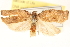  ( - CCDB-22973-C02)  @13 [ ] CreativeCommons - Attribution (2014) CBG Photography Group Centre for Biodiversity Genomics