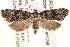  ( - CCDB-22973-E08)  @14 [ ] CreativeCommons - Attribution (2014) CBG Photography Group Centre for Biodiversity Genomics