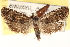  ( - CCDB-22973-G05)  @14 [ ] CreativeCommons - Attribution (2014) CBG Photography Group Centre for Biodiversity Genomics
