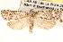  ( - CCDB-22973-G08)  @12 [ ] CreativeCommons - Attribution (2014) CBG Photography Group Centre for Biodiversity Genomics