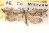  ( - CCDB-22973-H08)  @11 [ ] CreativeCommons - Attribution (2014) CBG Photography Group Centre for Biodiversity Genomics