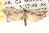  ( - CCDB-22973-H09)  @13 [ ] CreativeCommons - Attribution (2014) CBG Photography Group Centre for Biodiversity Genomics