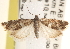  ( - CCDB-22974-B05)  @11 [ ] CreativeCommons - Attribution (2014) CBG Photography Group Centre for Biodiversity Genomics