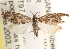  ( - CCDB-22974-B09)  @14 [ ] CreativeCommons - Attribution (2014) CBG Photography Group Centre for Biodiversity Genomics