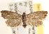 ( - CCDB-22974-B10)  @13 [ ] CreativeCommons - Attribution (2014) CBG Photography Group Centre for Biodiversity Genomics