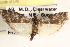  ( - CCDB-22974-D04)  @13 [ ] CreativeCommons - Attribution (2014) CBG Photography Group Centre for Biodiversity Genomics