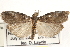  ( - CCDB-22974-D07)  @11 [ ] CreativeCommons - Attribution (2014) CBG Photography Group Centre for Biodiversity Genomics