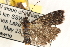  ( - CCDB-22974-D12)  @12 [ ] CreativeCommons - Attribution (2014) CBG Photography Group Centre for Biodiversity Genomics