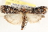  ( - CCDB-22974-E12)  @14 [ ] CreativeCommons - Attribution (2014) CBG Photography Group Centre for Biodiversity Genomics
