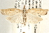  ( - CCDB-22974-G02)  @14 [ ] CreativeCommons - Attribution (2014) CBG Photography Group Centre for Biodiversity Genomics
