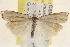  ( - CCDB-22974-G06)  @14 [ ] CreativeCommons - Attribution (2014) CBG Photography Group Centre for Biodiversity Genomics