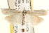  ( - CCDB-22974-G08)  @14 [ ] CreativeCommons - Attribution (2014) CBG Photography Group Centre for Biodiversity Genomics